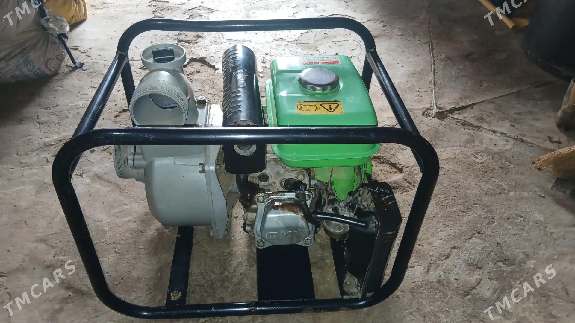 Помпа - Гороглы (Тагта) - img 1