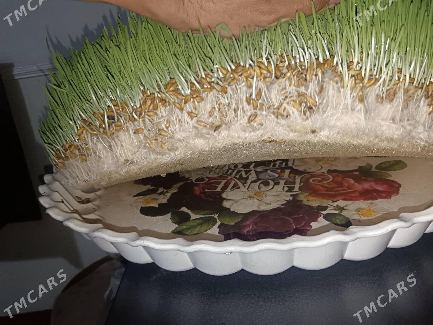 Arpa - Мургап - img 1