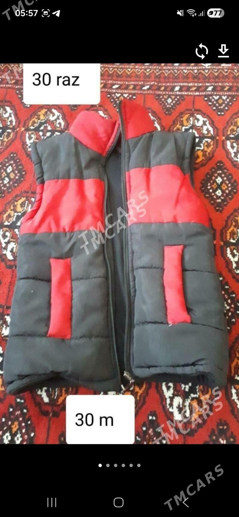 çaga egin-eşikleri - Дашогуз - img 1