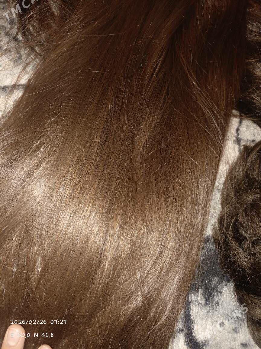 sac - Daşoguz - img 1