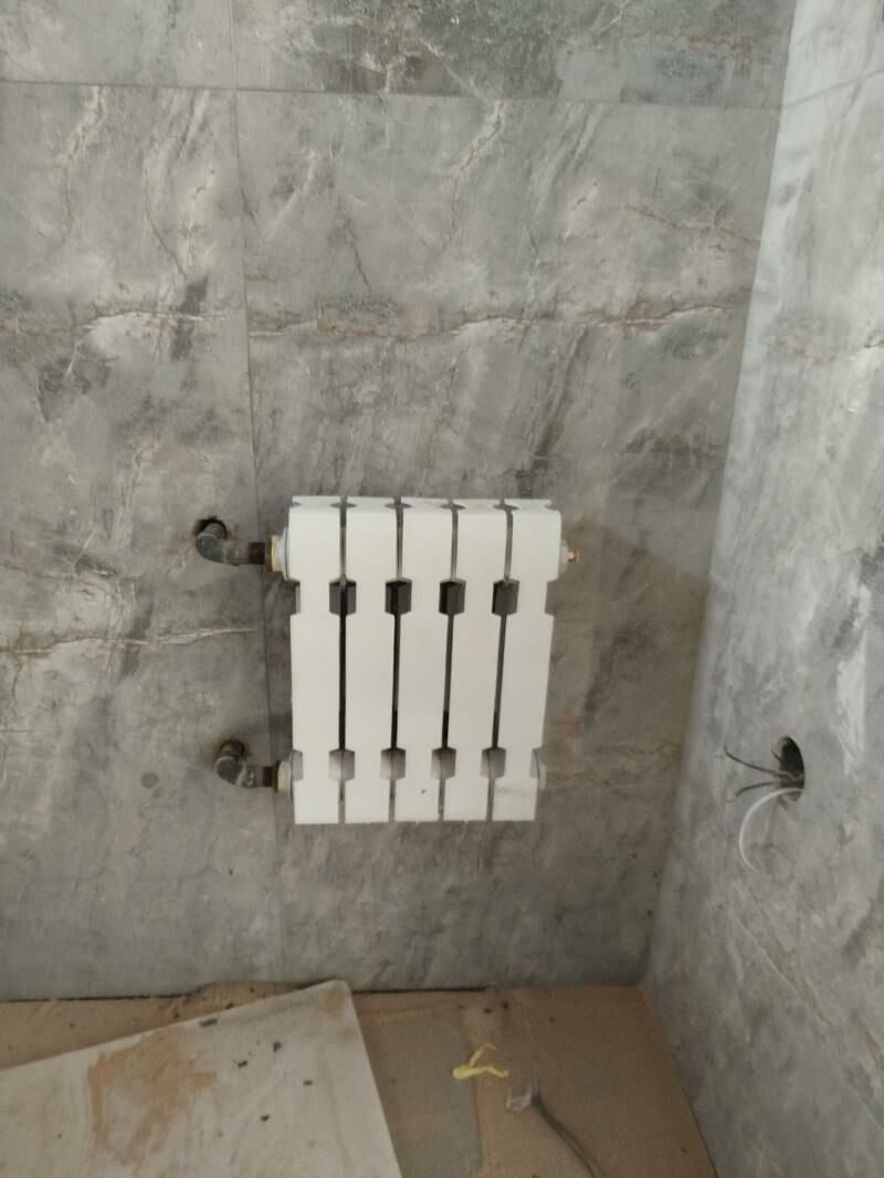 Ataplenÿa. kotelni çekmek - Sakarçäge - img 1