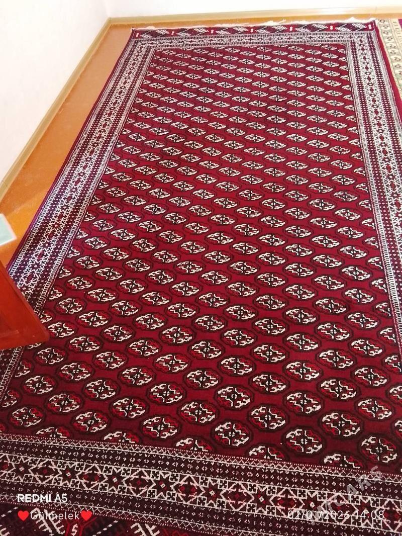 haly - Esenguly - img 1