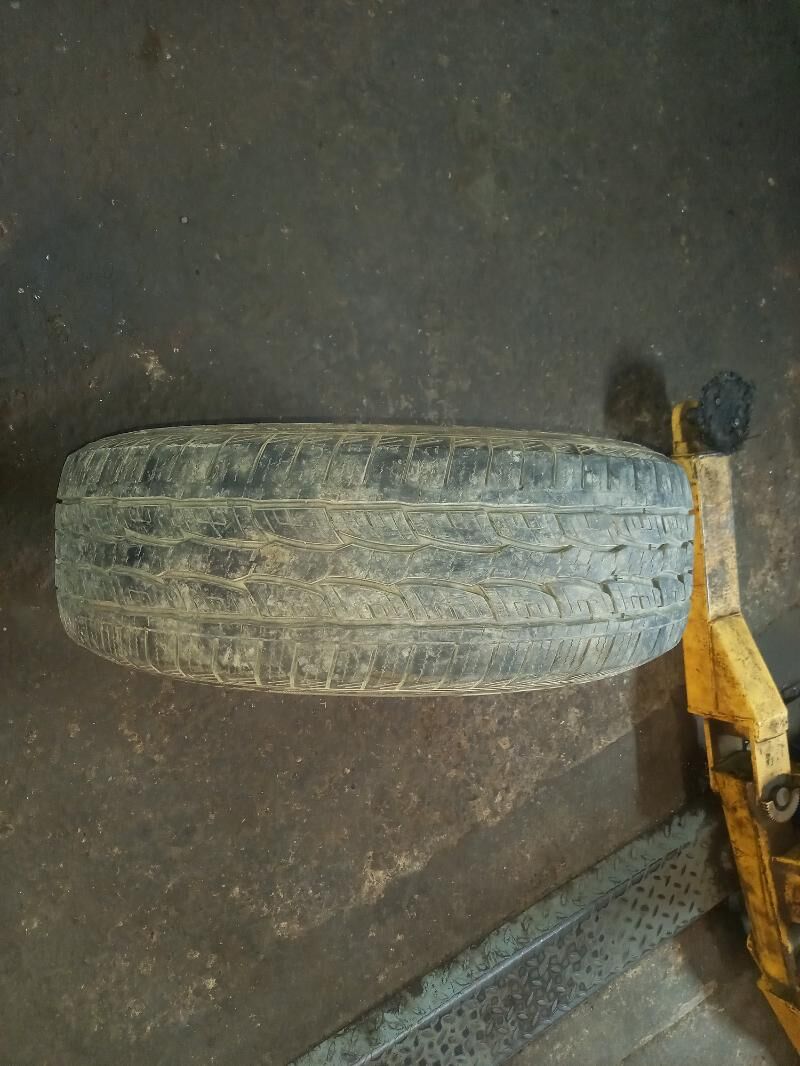 Pokriska 500 TMT - Mary - img 1