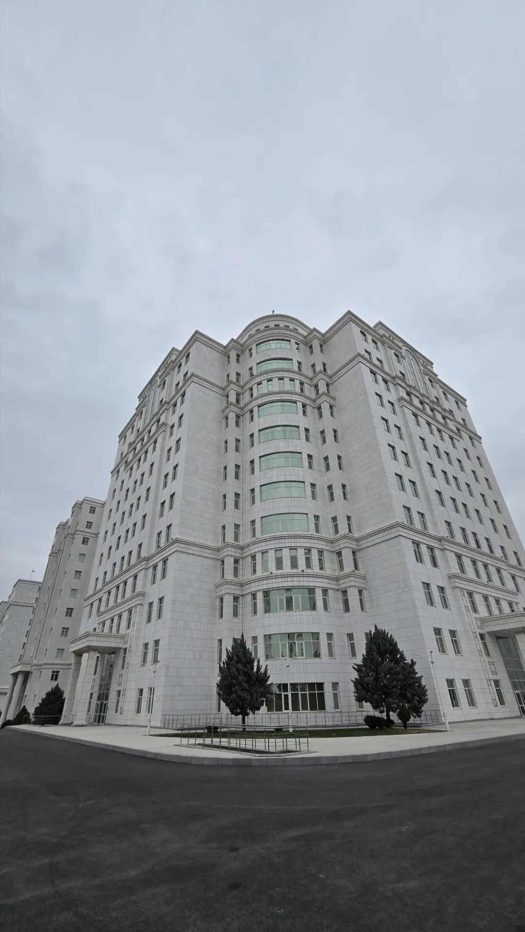 ЭЛИТКА НА ПРОДАЖУ - Ашхабад - img 1