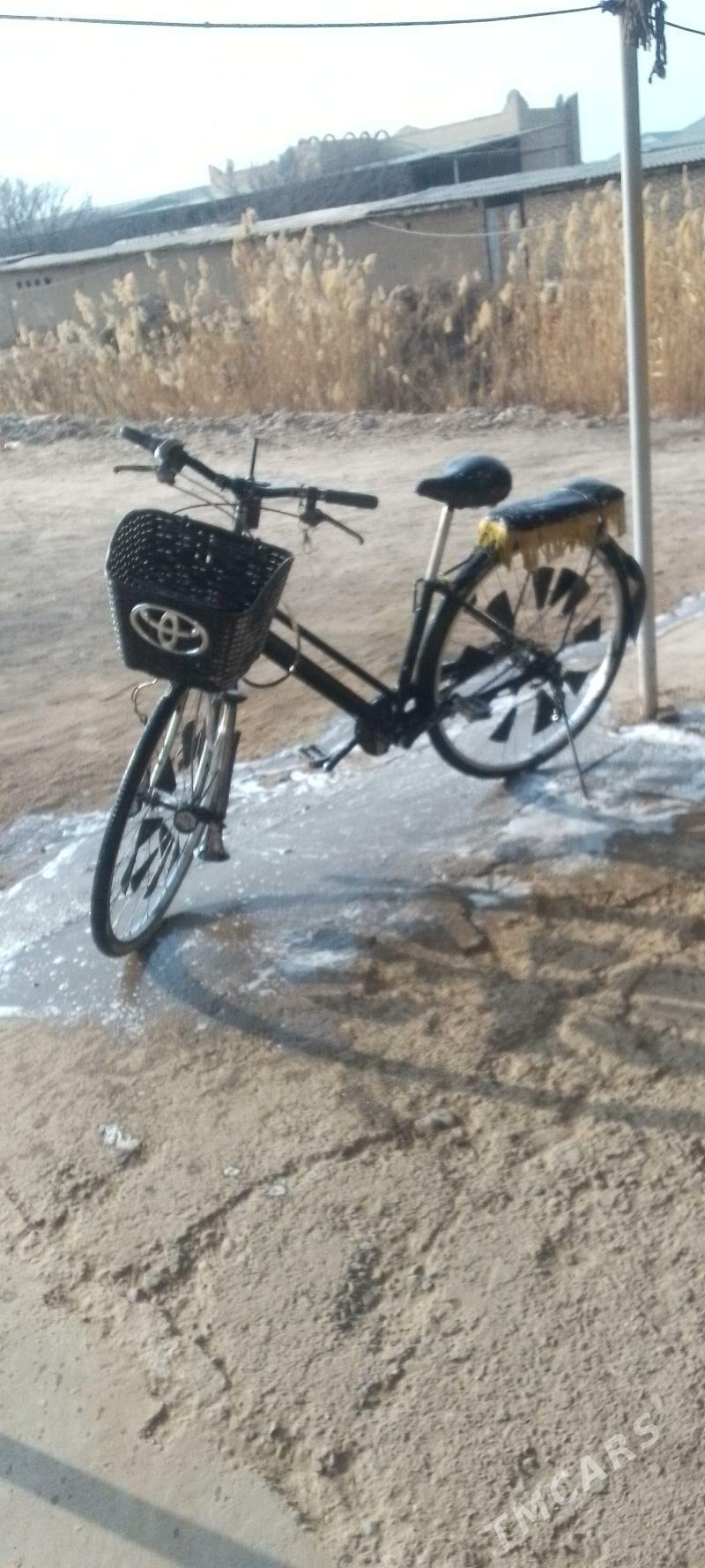 welik - Mary - img 1