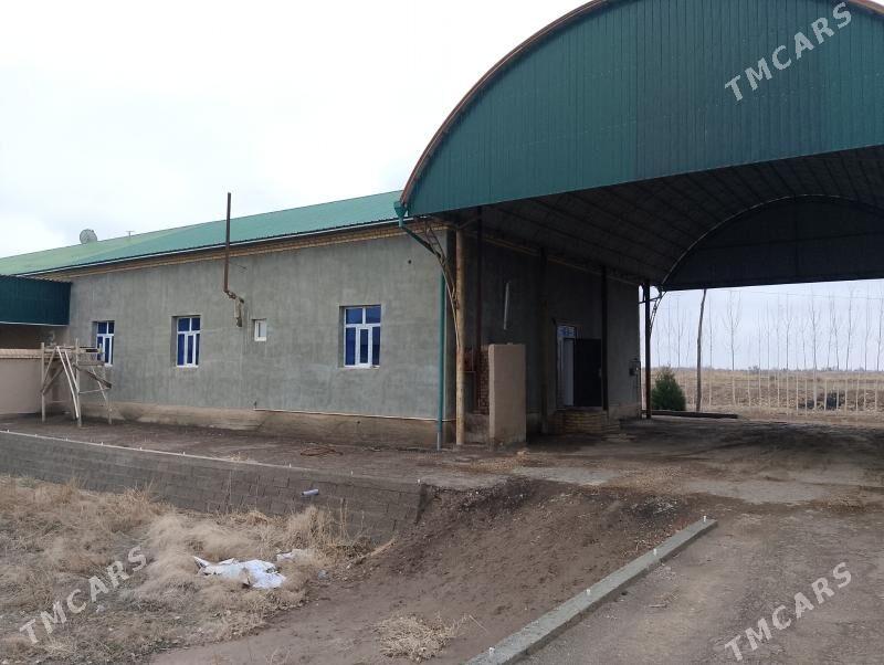 Satlyk jay - Кёнеургенч - img 1