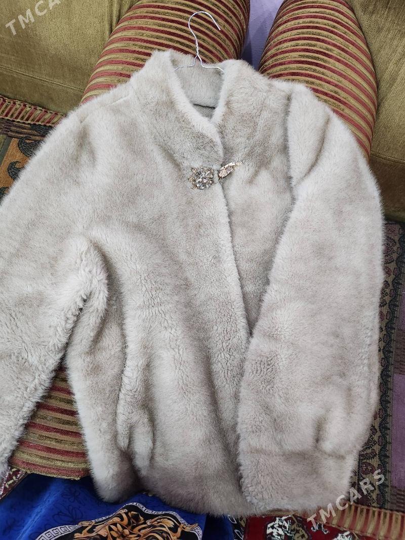 Shuba - Дашогуз - img 1