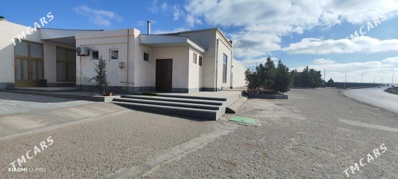 Satlyk Kafe 225m² - Туркменабат - img 1