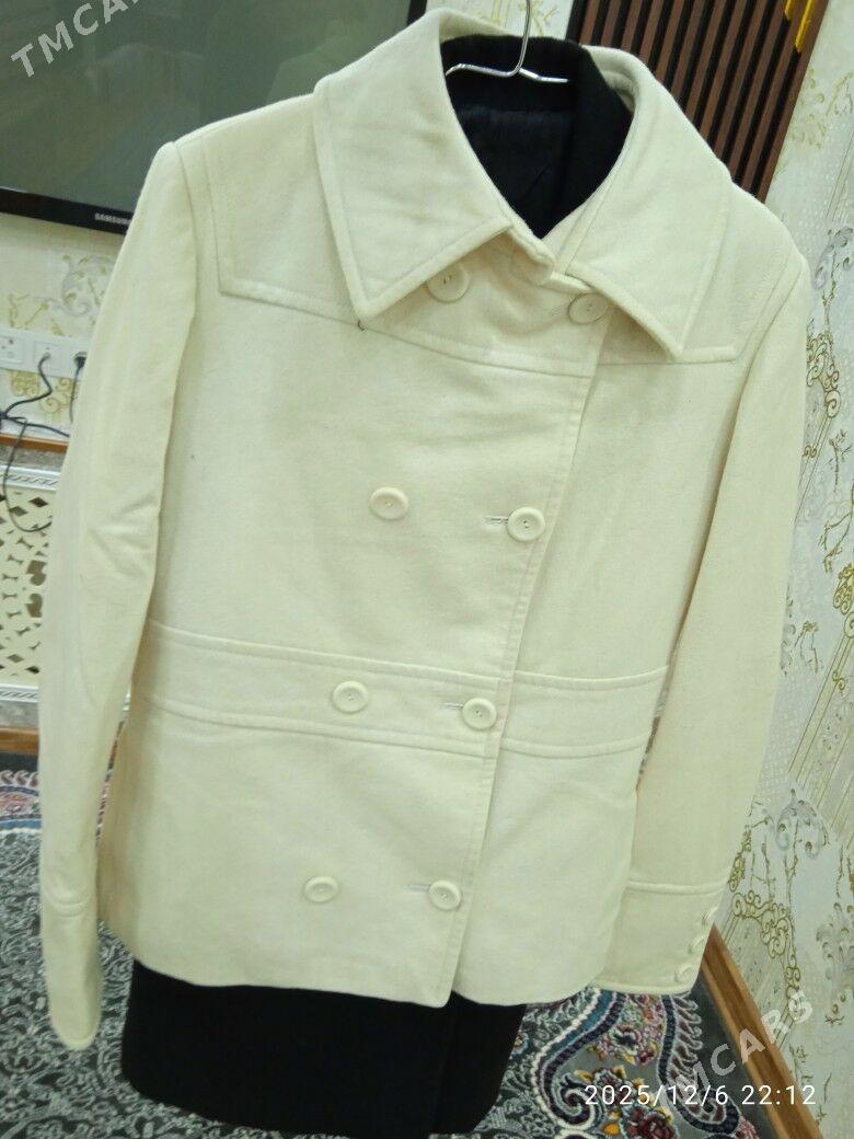 paltu - Дашогуз - img 1