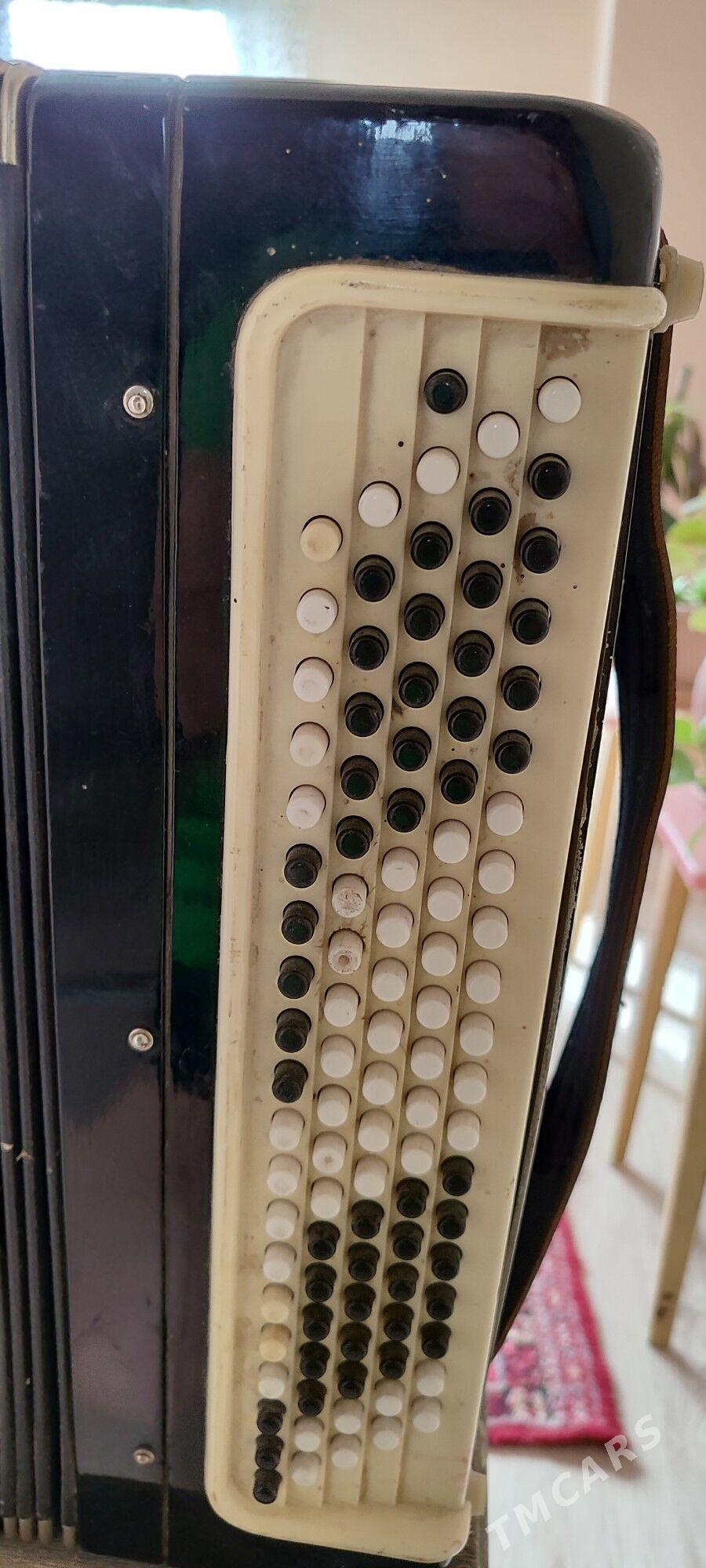 Баян - Кëши - img 1