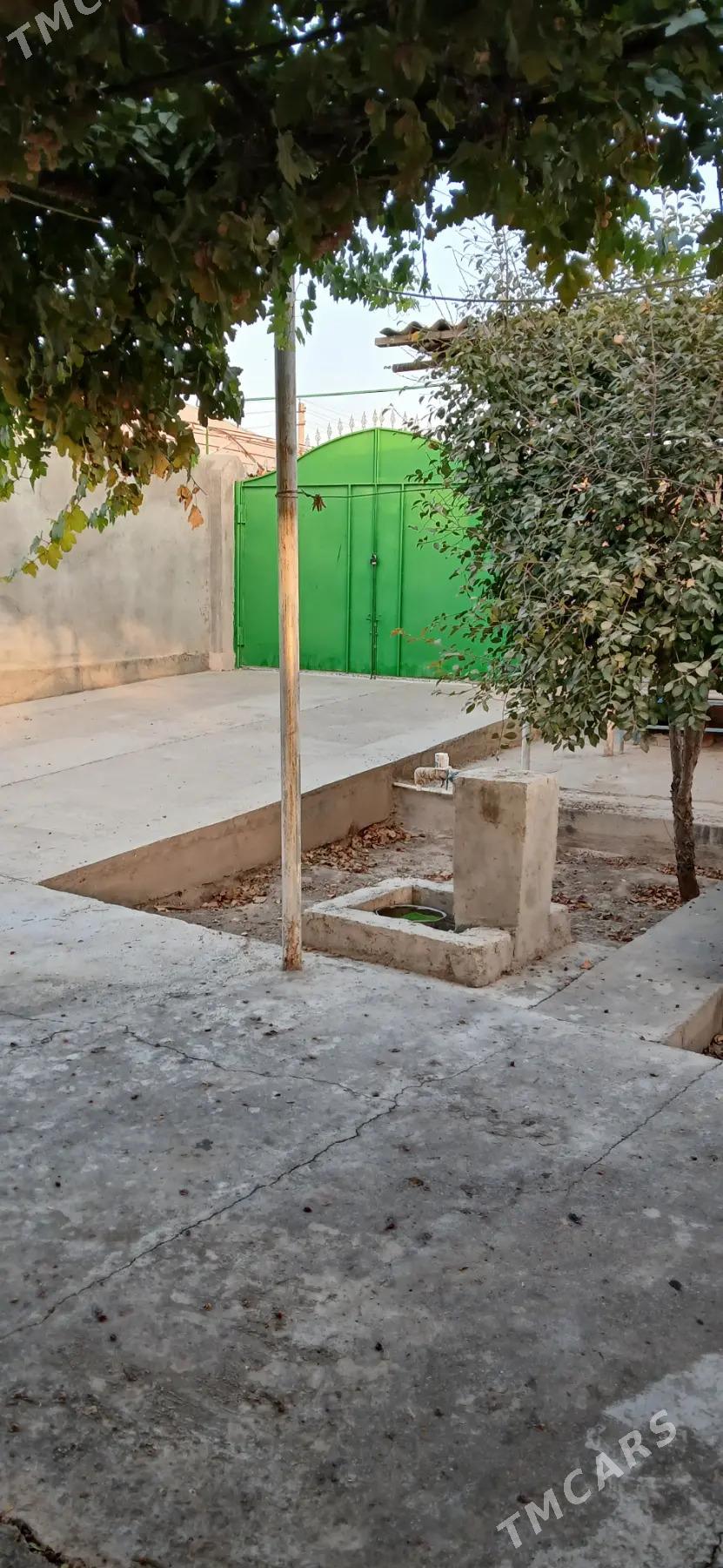 Jay - Кака - img 1