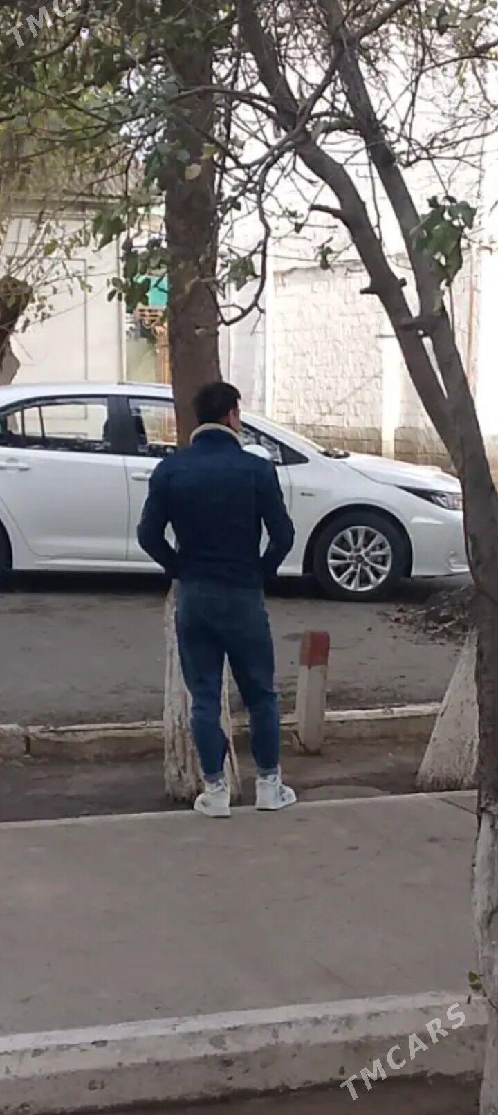 Oglan jynsovka - Türkmenbaşy - img 1