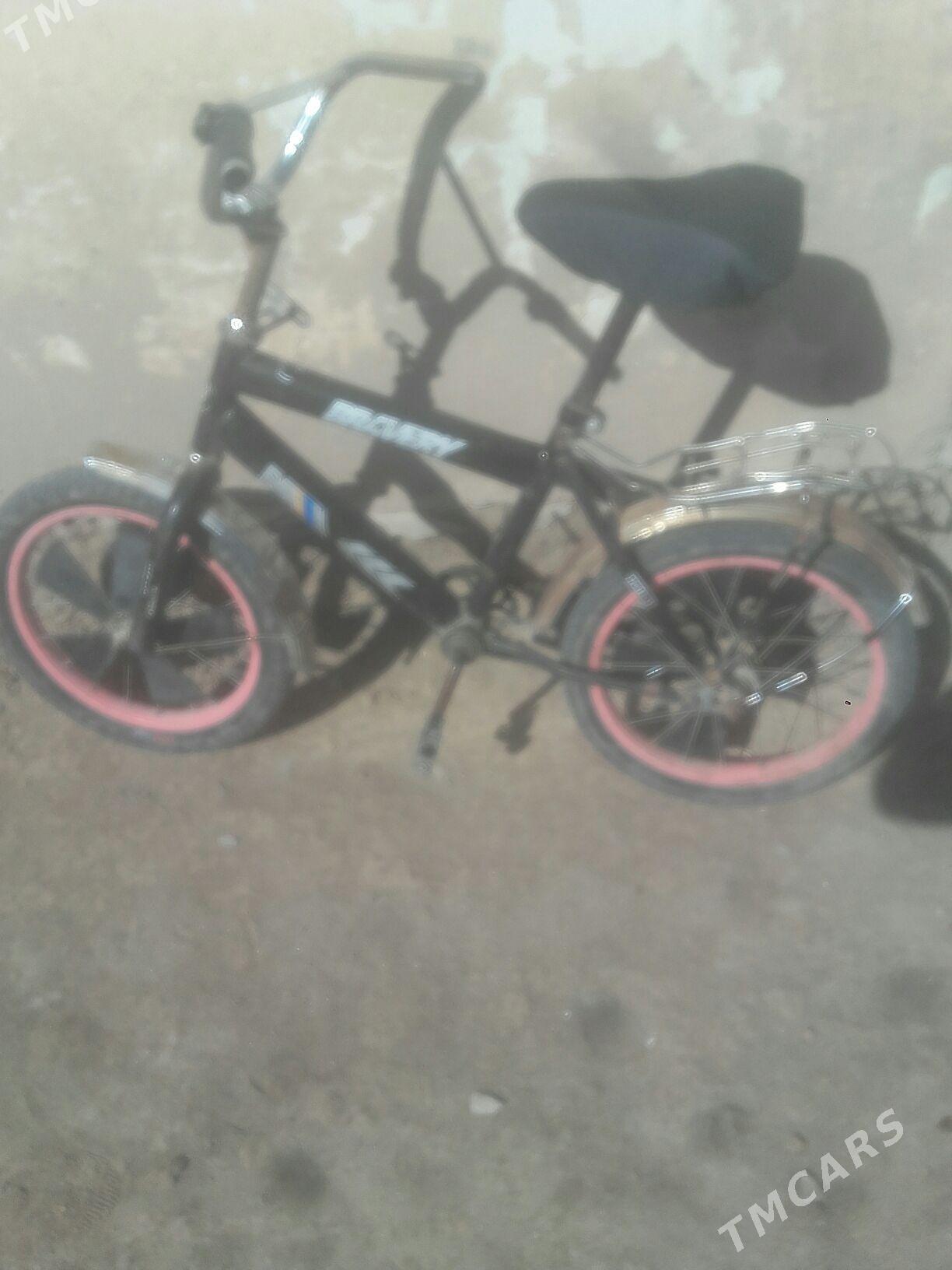 welsepet - Мургап - img 1