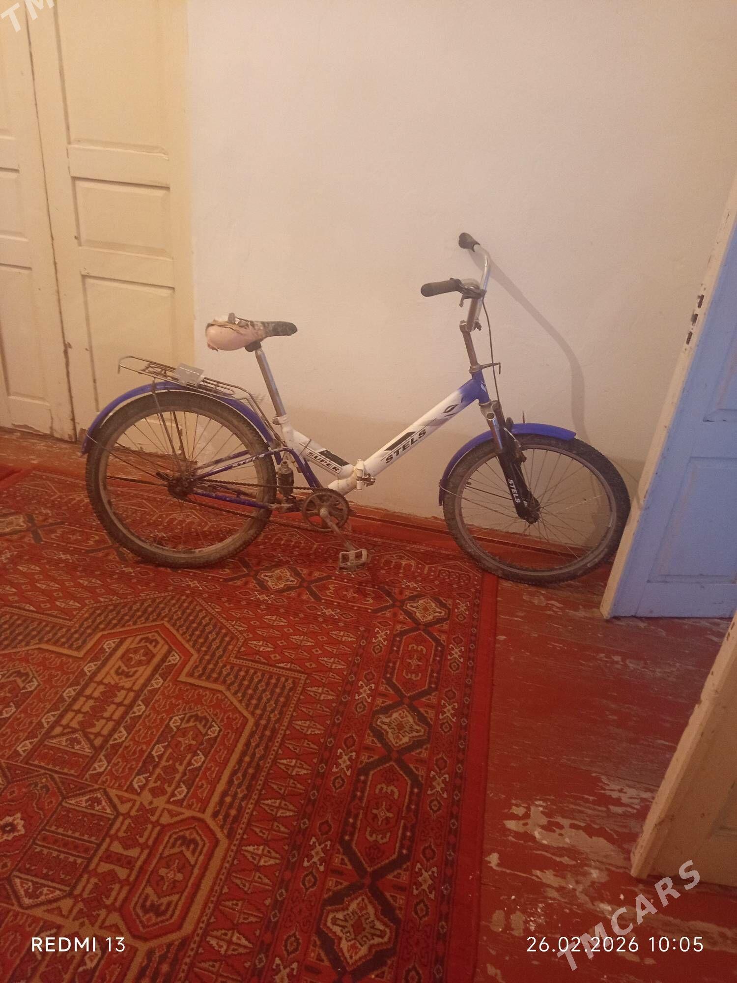 welik - Дашогуз - img 1