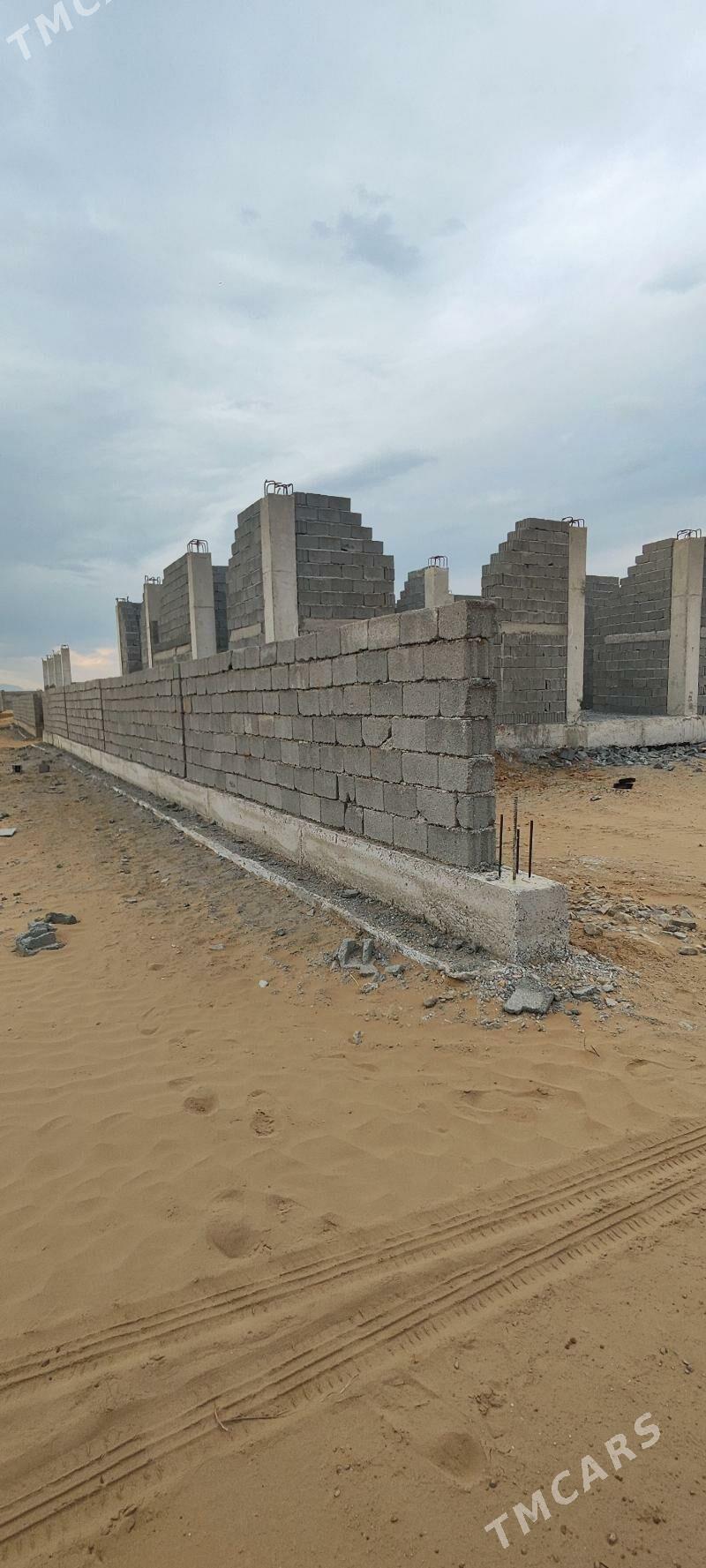 änov onali - Änew - img 1