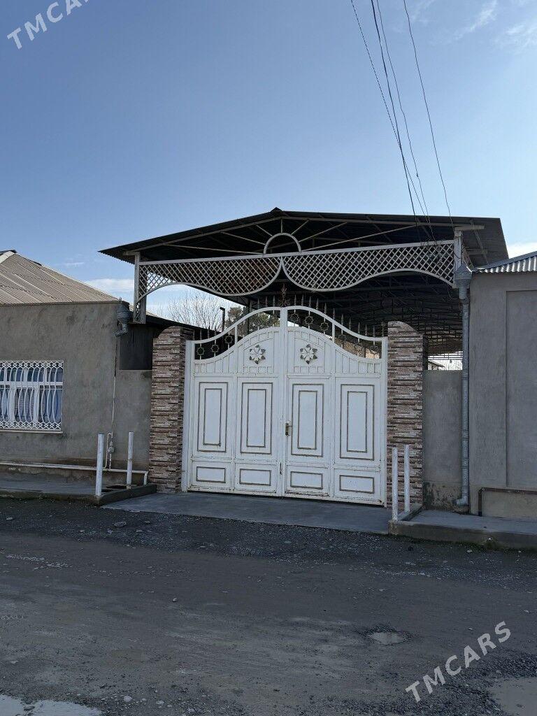 Satlyg jay - Кака - img 1