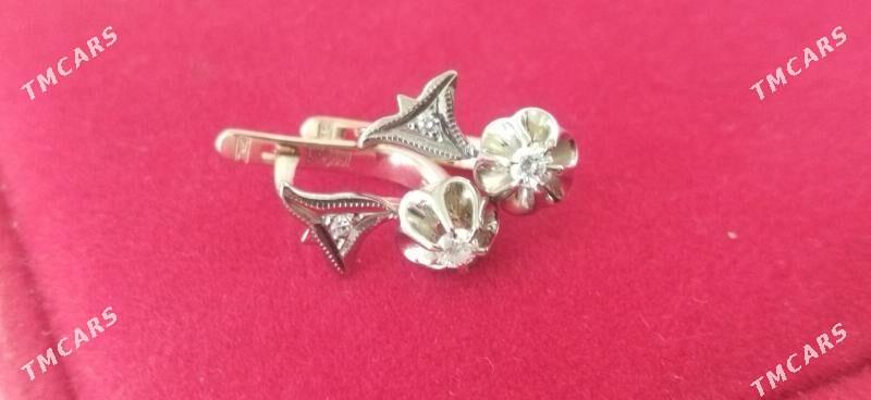 gyzyl gulakhalka - Büzmeýin - img 1