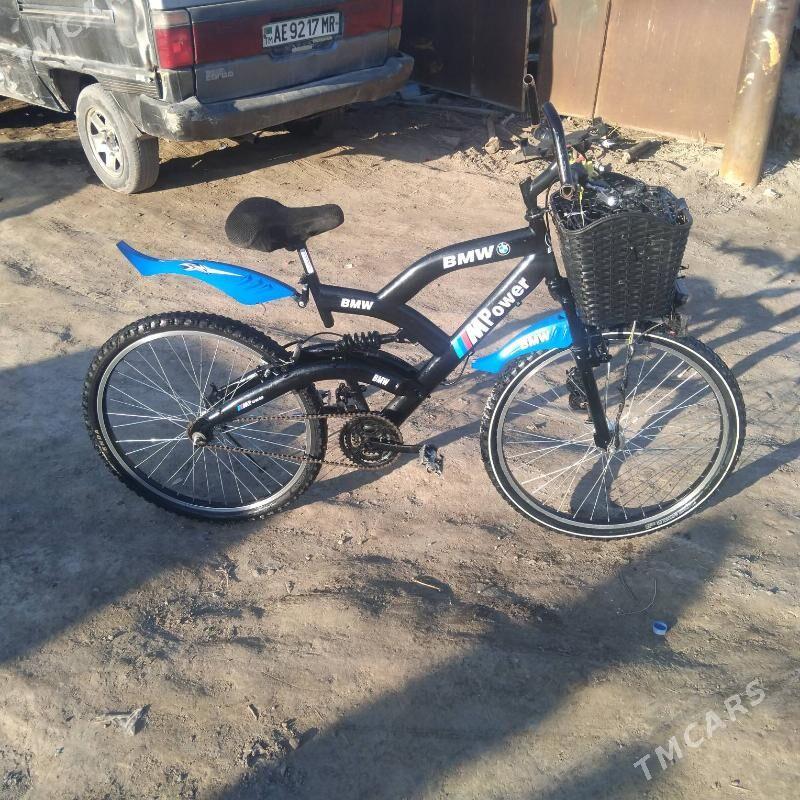 Welsepet - Mary - img 1