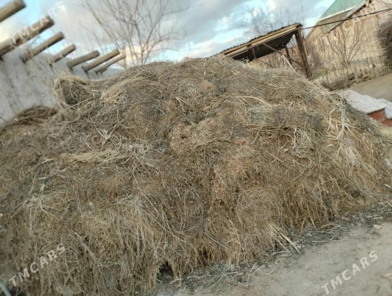 Mal oty - Чарджоу - img 1