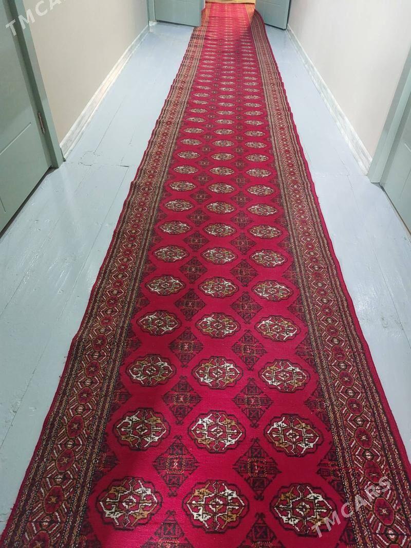 haly - Дашогуз - img 1