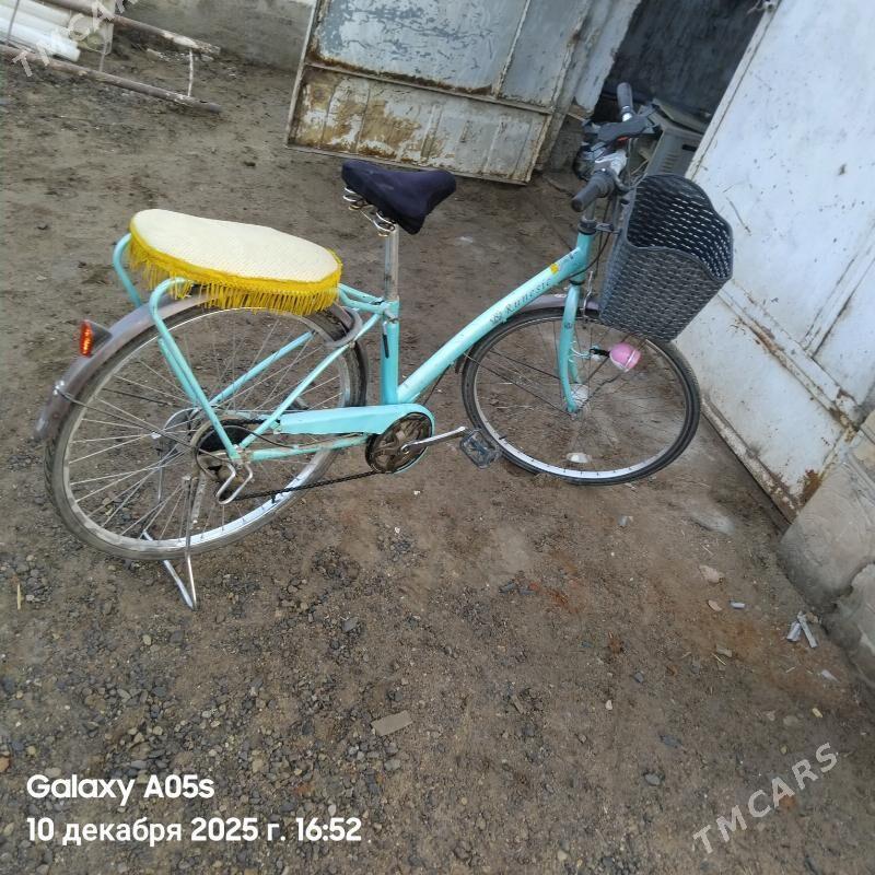 26 tigir 6 skorly - Mary - img 1