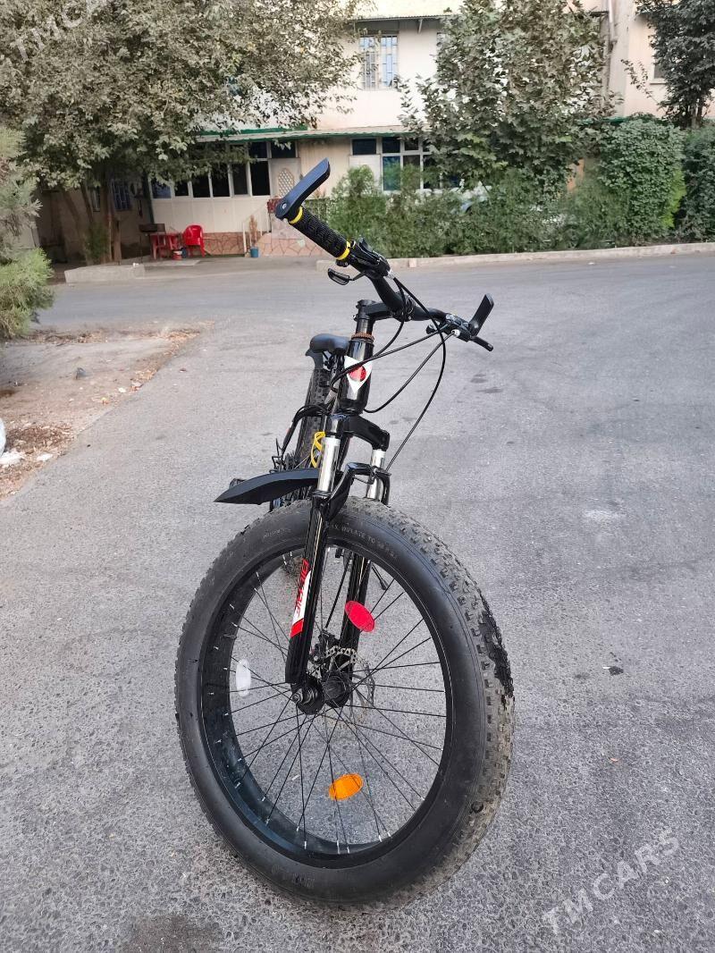 tigir - Kim raýon - img 1