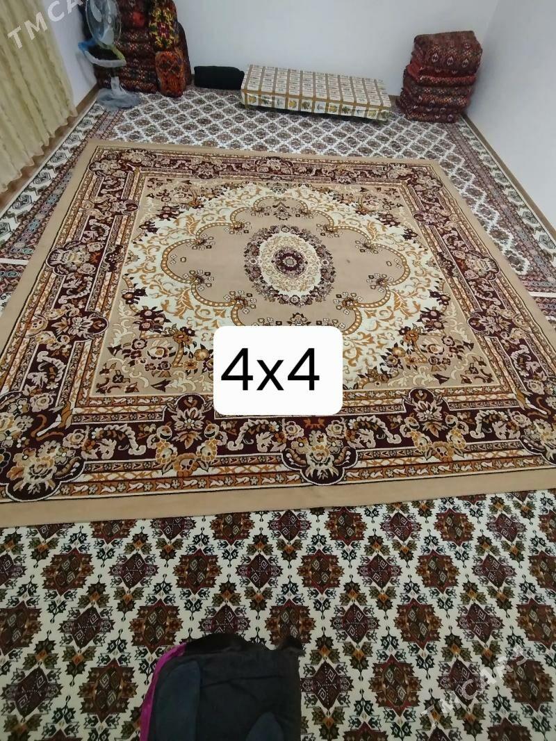 Haly - Daşoguz - img 1