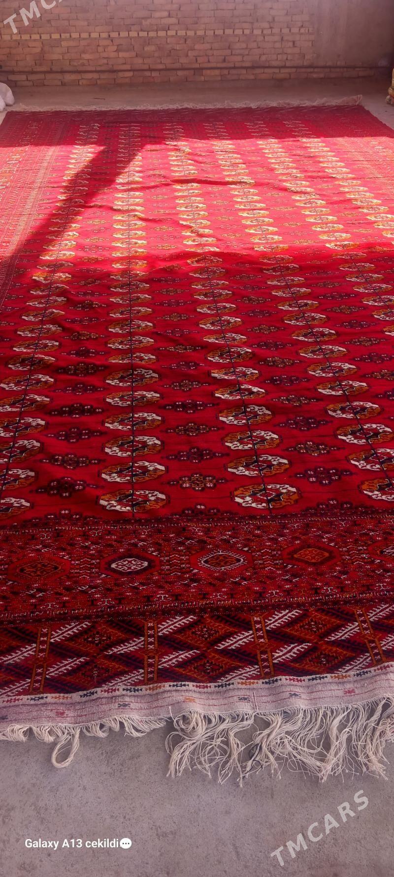 el halt - Бахарден - img 1