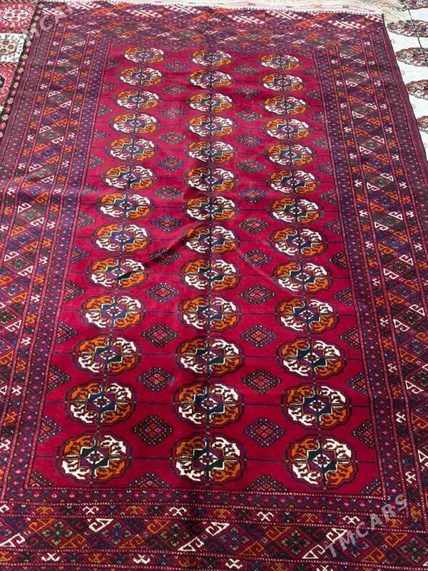 Теке Гол Тазе Халы - 15-nji tapgyr - img 1