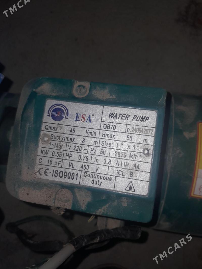 taze nasoz - Farap - img 1