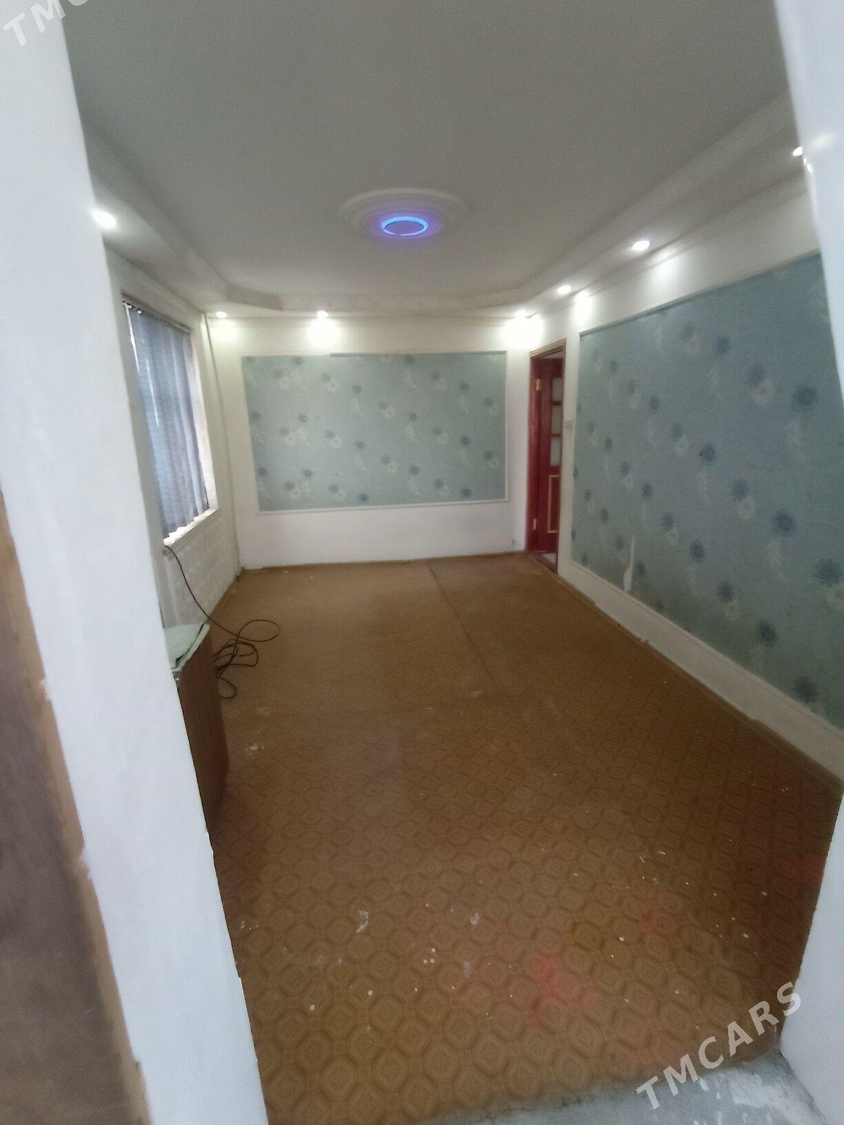 Satlyk jay - Mary - img 1