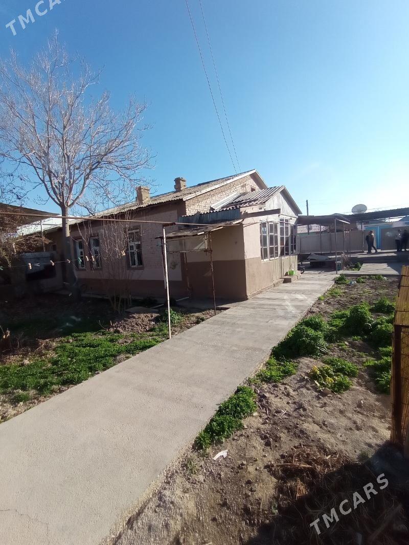 Mary-Şäher-Satlyk-Howly - Mary - img 1