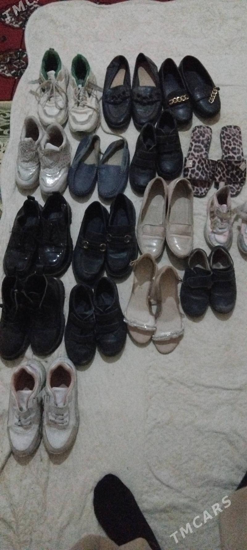 çaga köwis - Aşgabat - img 1