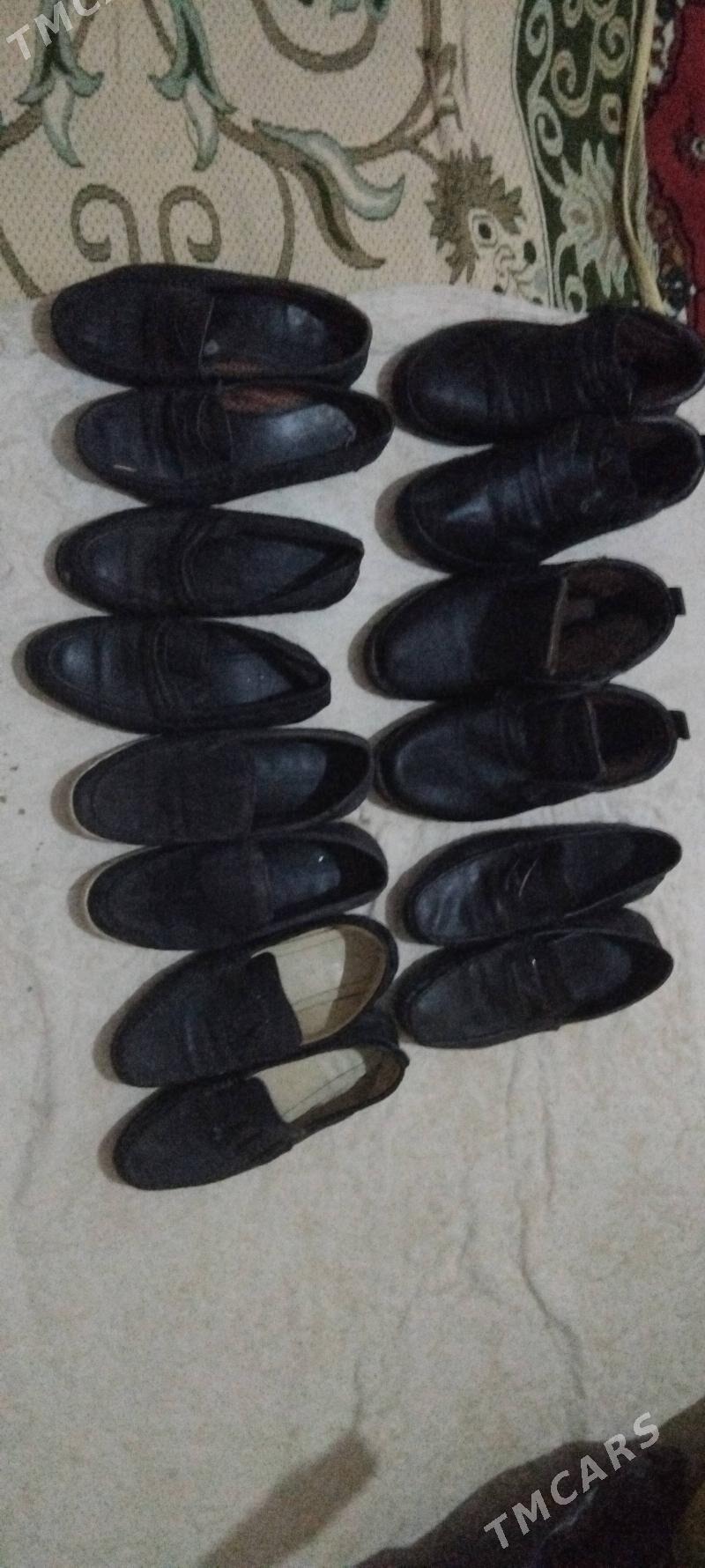 köwis - Aşgabat - img 1