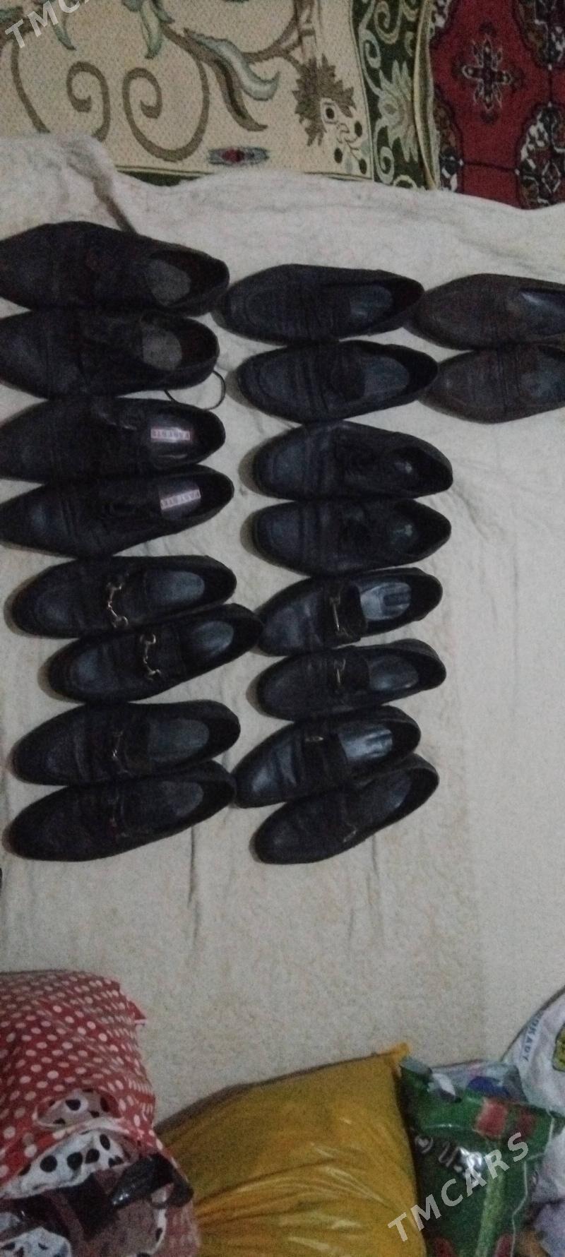 kowis - Aşgabat - img 1