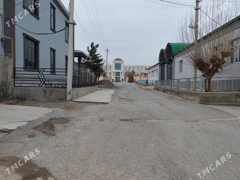 шор гарадамак жай - Ашхабад - img 1