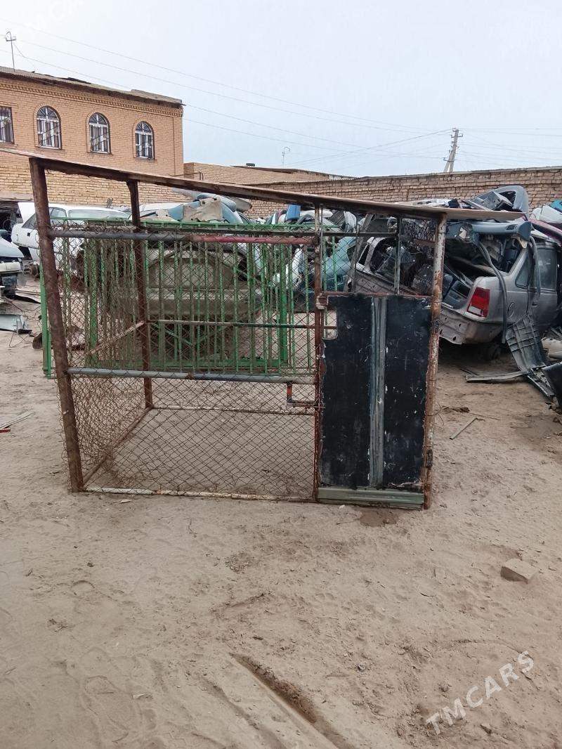 Кетек - Türkmenabat - img 1