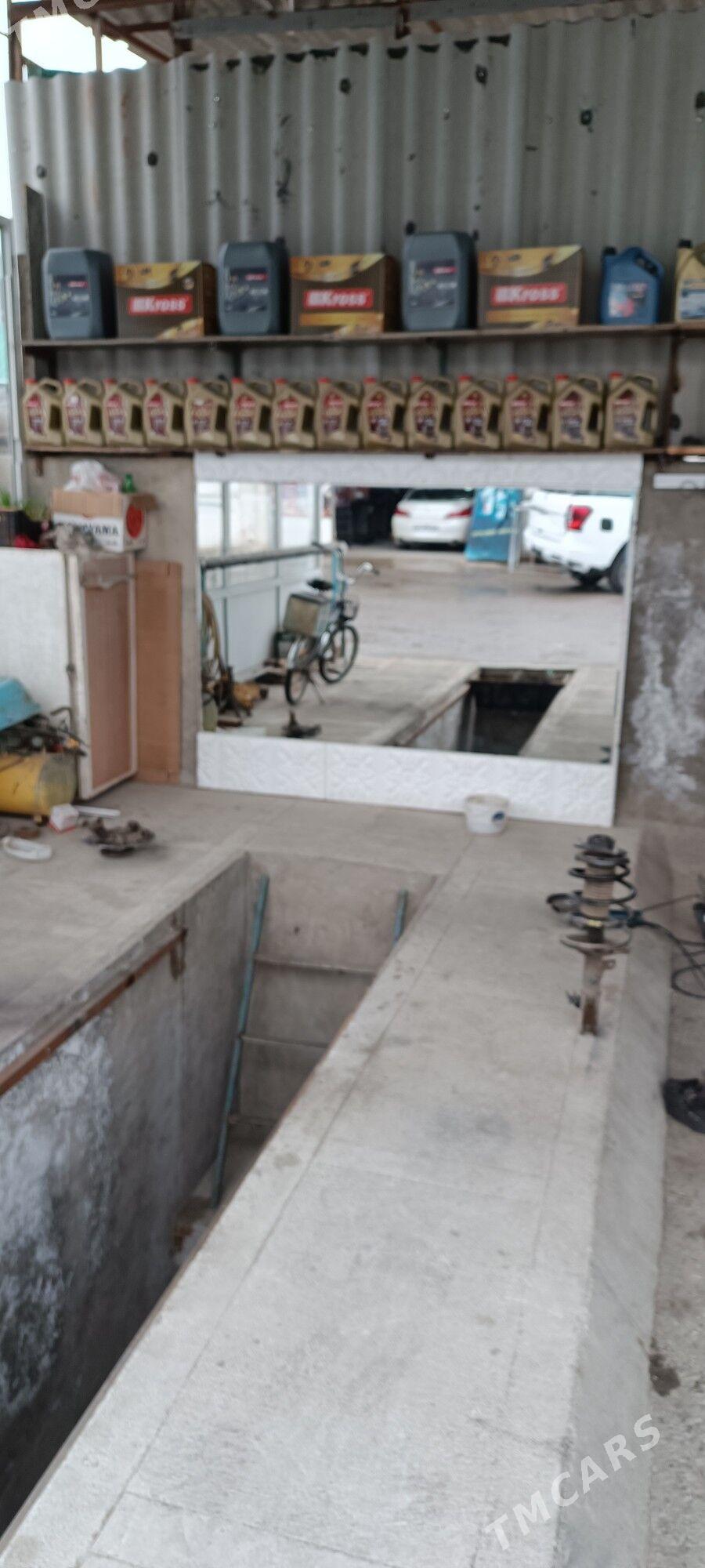 Maşin ussa - Анев - img 1