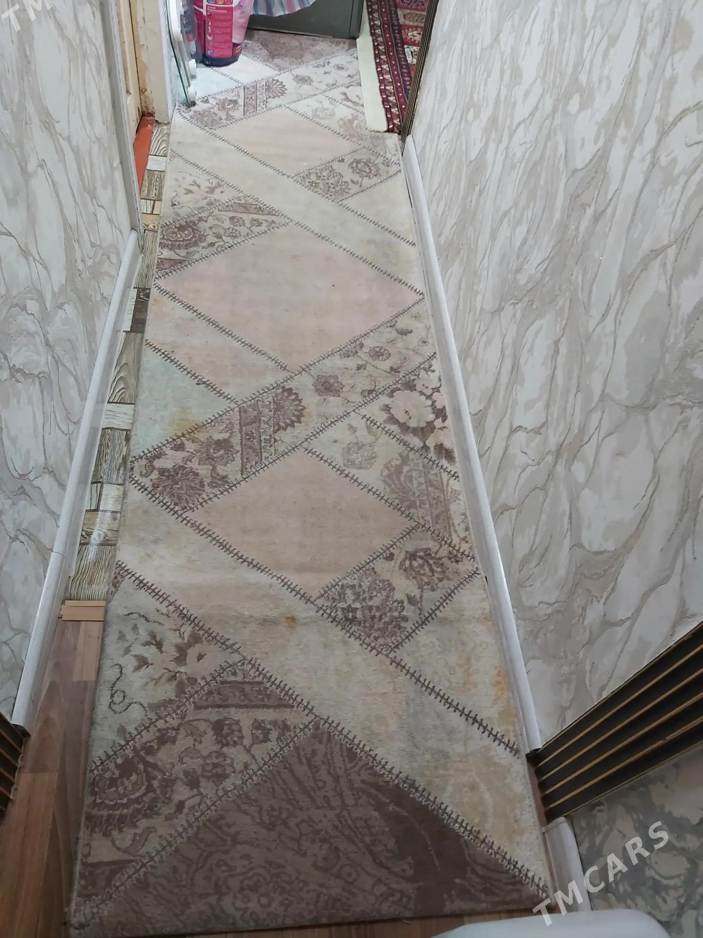 haly - Дашогуз - img 1