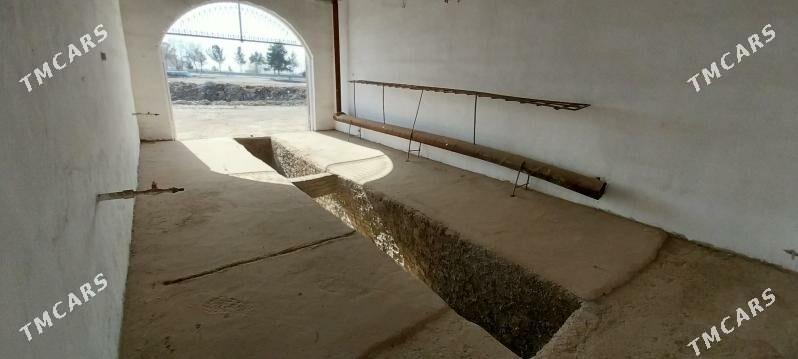 6 SANY BOKS ARENDA BERILYA - Mary - img 1