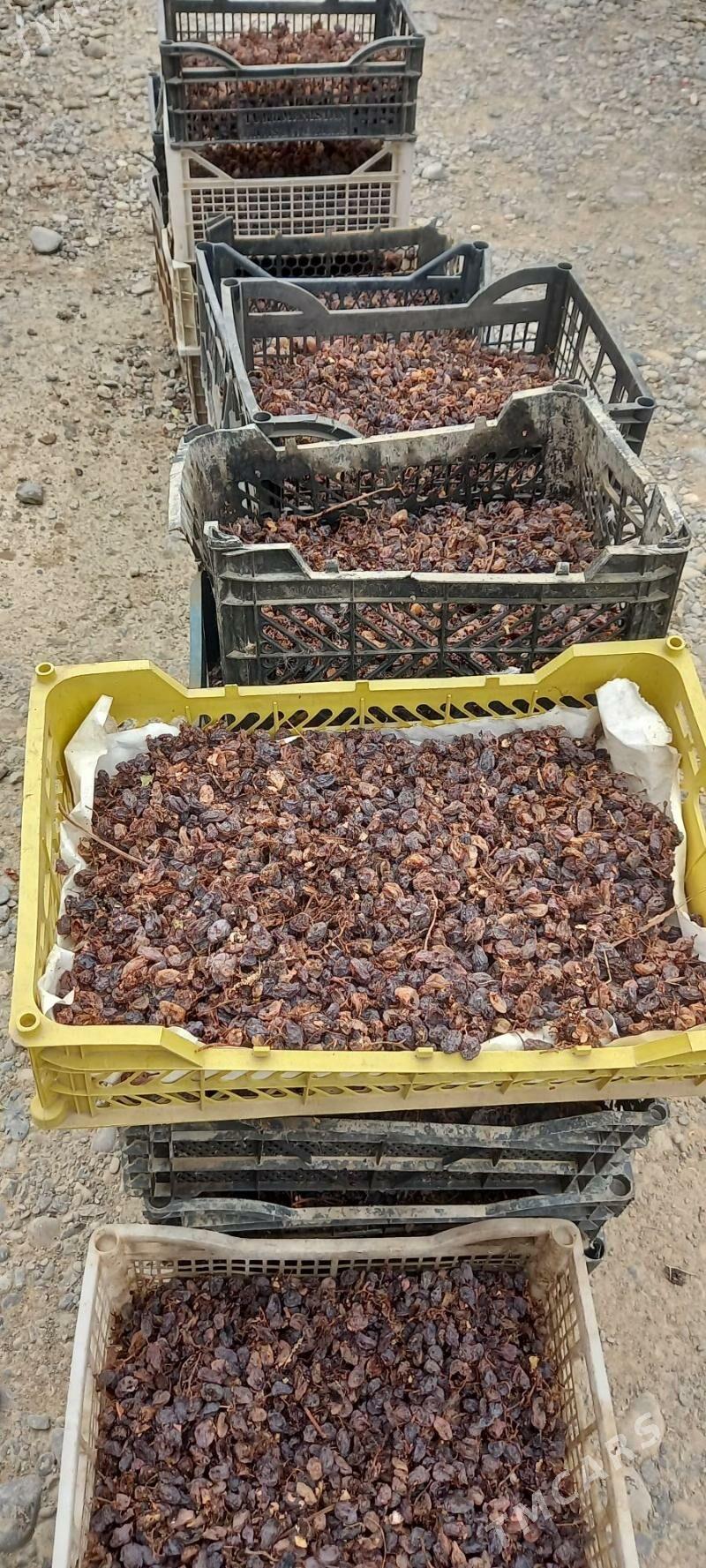 imlik kmiş mala - Ýaşlyk - img 1