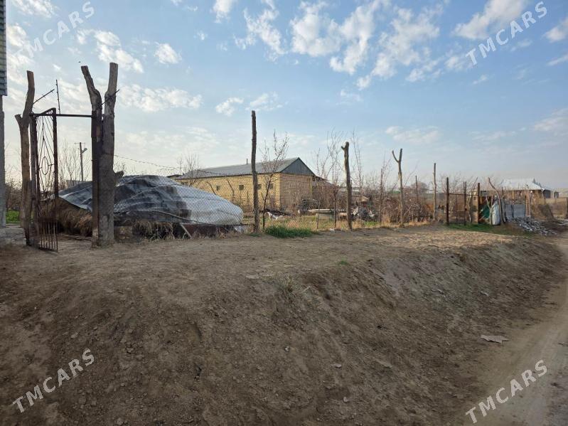 GRES Daça - Мары - img 1