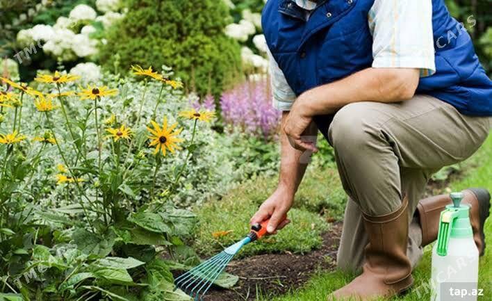 Bagban Gerek - ул. Чехова - Элитки (А.Ниязов шаёлы) - img 1