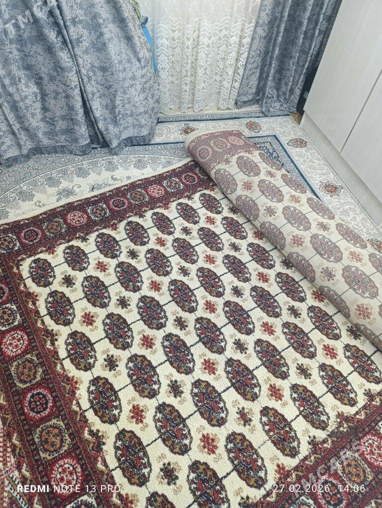 haly - Хитровка - img 1