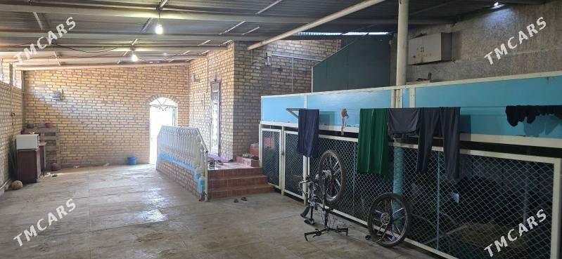 Satlyk jay - Mary - img 1