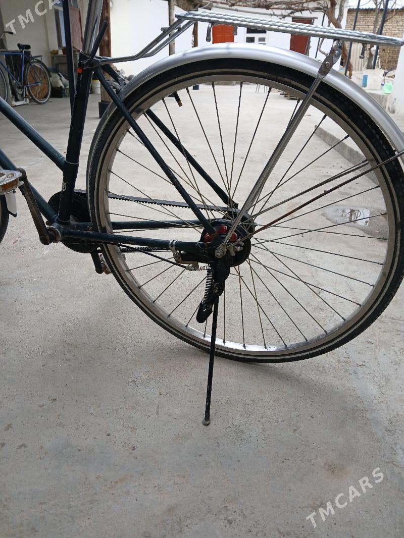 tigir - Gökje - img 1