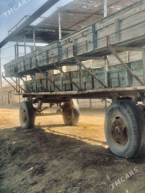 ary prisep - Сакарчага - img 1