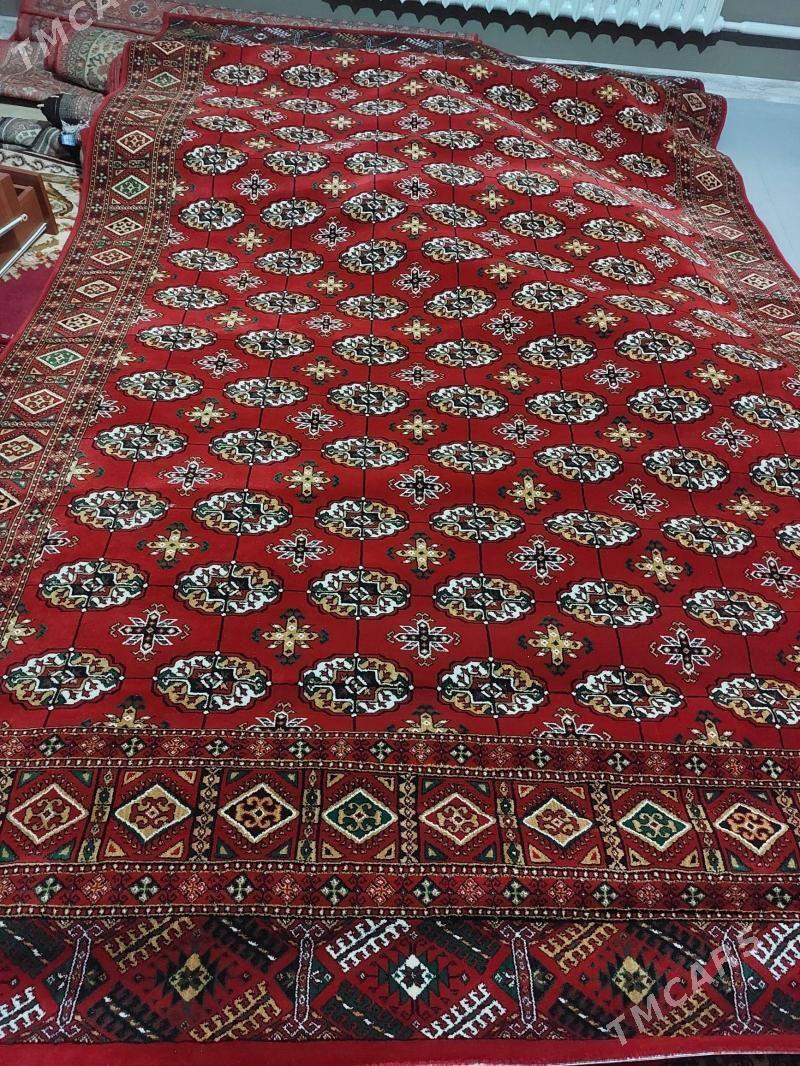 haly - Дашогуз - img 1