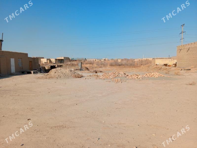 satlyk jay (mellek) - Çärjew - img 1