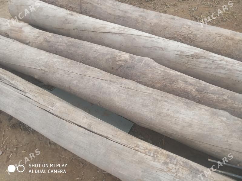 agac jaya goyylyan - Гороглы (Тагта) - img 1